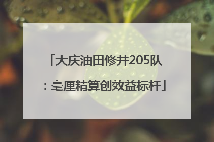 大庆油田修井205队：毫厘精算创效益标杆