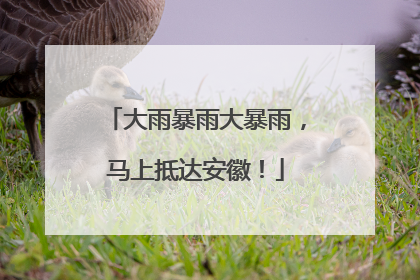 大雨暴雨大暴雨，马上抵达安徽！