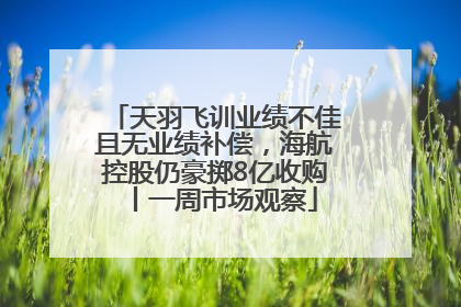 天羽飞训业绩不佳且无业绩补偿，海航控股仍豪掷8亿收购丨一周市场观察