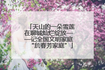 天山的一朵雪莲在聊城灿烂绽放——记全国文明家庭“詹春芳家庭”