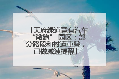天府绿道竟有汽车“敞跑” 园区：部分路段和村道重叠，已做减速提醒
