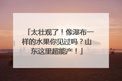 太壮观了！像瀑布一样的水果你见过吗？山东这里超能产！