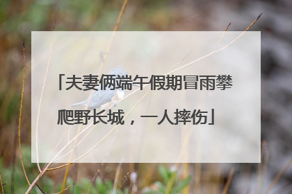 夫妻俩端午假期冒雨攀爬野长城，一人摔伤