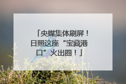 央媒集体刷屏！日照这座“宝藏港口”火出圈！