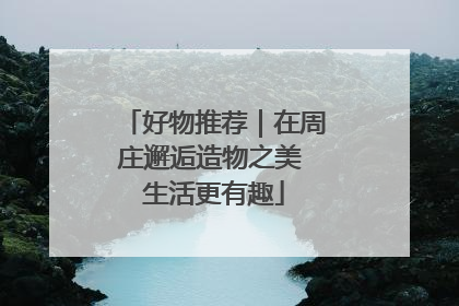 好物推荐｜在周庄邂逅造物之美 生活更有趣