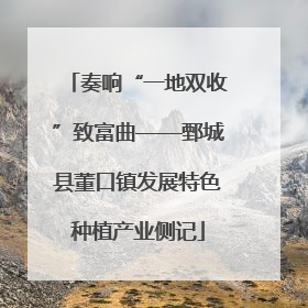 奏响“一地双收”致富曲——鄄城县董口镇发展特色种植产业侧记