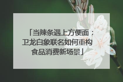 当辣条遇上方便面：卫龙白象联名如何重构食品消费新场景