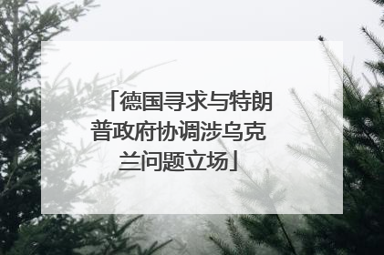 德国寻求与特朗普政府协调涉乌克兰问题立场