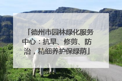德州市园林绿化服务中心：抗旱、修剪、防治，精细养护保绿荫