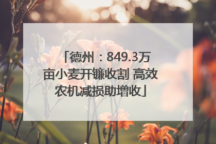 德州：849.3万亩小麦开镰收割 高效农机减损助增收