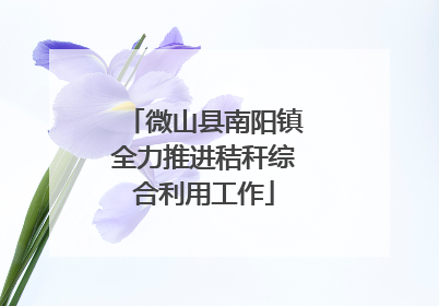 微山县南阳镇全力推进秸秆综合利用工作