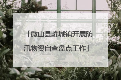 微山县驩城镇开展防汛物资自查盘点工作