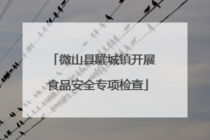 微山县驩城镇开展食品安全专项检查