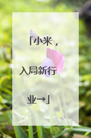 小米，入局新行业→