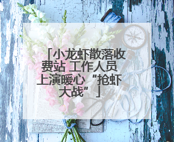 小龙虾散落收费站 工作人员上演暖心“抢虾大战”