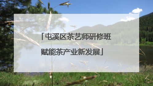 屯溪区茶艺师研修班赋能茶产业新发展