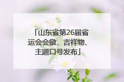 山东省第26届省运会会徽、吉祥物、主题口号发布
