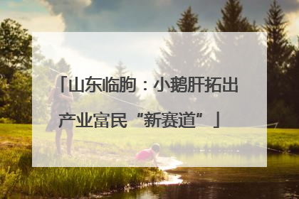 山东临朐：小鹅肝拓出产业富民“新赛道”