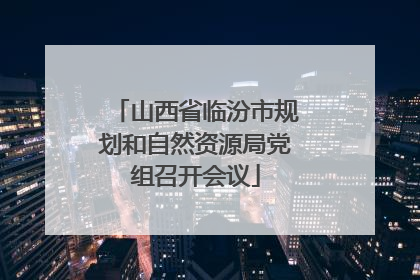 山西省临汾市规划和自然资源局党组召开会议