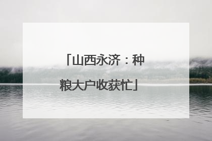 山西永济：种粮大户收获忙