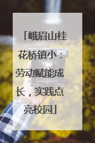 峨眉山桂花桥镇小：劳动赋能成长，实践点亮校园