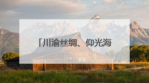 川渝丝绸、仰光海鲜3小时直达！成都双流⇌缅甸仰光全货运航线开通