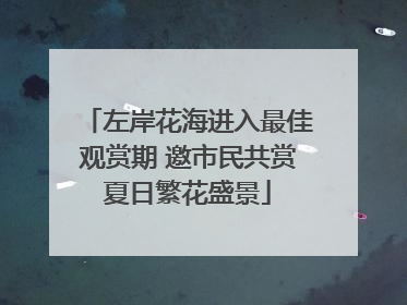 左岸花海进入最佳观赏期 邀市民共赏夏日繁花盛景