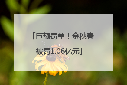 巨额罚单！金穗春被罚1.06亿元