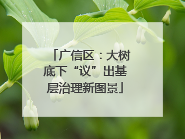 广信区：大树底下“议”出基层治理新图景