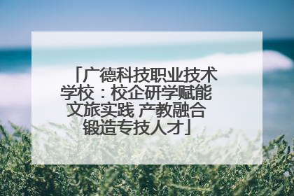 广德科技职业技术学校：校企研学赋能文旅实践 产教融合锻造专技人才