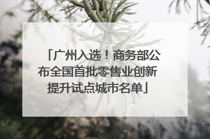 广州入选！商务部公布全国首批零售业创新提升试点城市名单