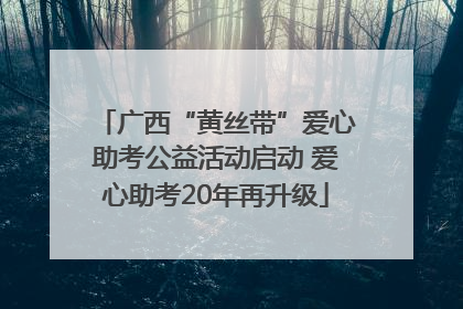 广西“黄丝带”爱心助考公益活动启动 爱心助考20年再升级
