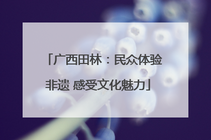 广西田林：民众体验非遗 感受文化魅力