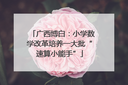 广西博白：小学数学改革培养一大批“速算小能手”