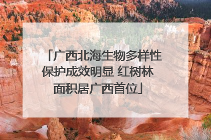 广西北海生物多样性保护成效明显 红树林面积居广西首位