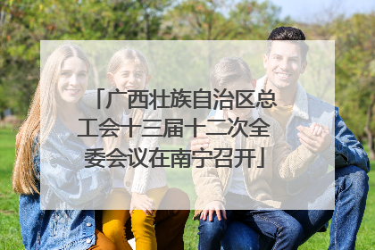 广西壮族自治区总工会十三届十二次全委会议在南宁召开