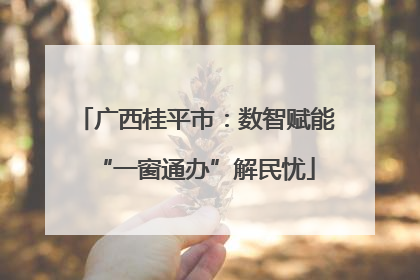 广西桂平市：数智赋能“一窗通办”解民忧