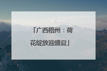 广西梧州：荷花绽放迎盛夏