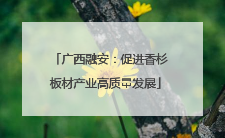 广西融安：促进香杉板材产业高质量发展