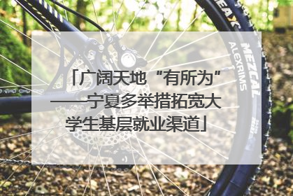 广阔天地“有所为”——宁夏多举措拓宽大学生基层就业渠道