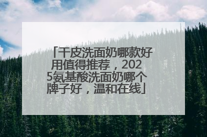 干皮洗面奶哪款好用值得推荐，2025氨基酸洗面奶哪个牌子好，温和在线