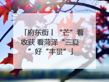 府东街丨“芒”着收获 看菏泽“三夏”好“丰景”