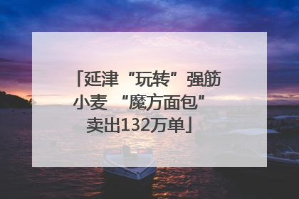 延津“玩转”强筋小麦 “魔方面包”卖出132万单