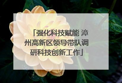 强化科技赋能 漳州高新区领导带队调研科技创新工作