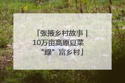 张掖乡村故事｜10万亩高原夏菜“绿”富乡村