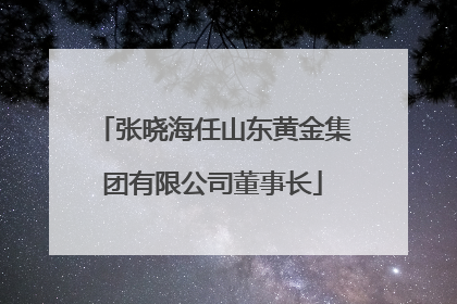 张晓海任山东黄金集团有限公司董事长
