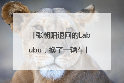 张朝阳退回的Labubu，换了一辆车