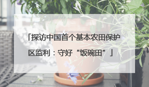 探访中国首个基本农田保护区监利：守好“饭碗田”