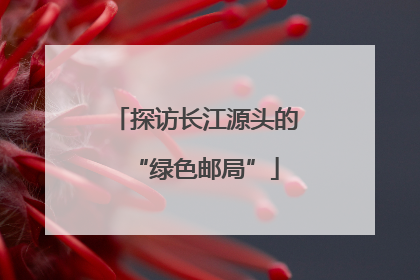探访长江源头的“绿色邮局”