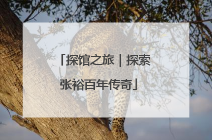 探馆之旅｜探索张裕百年传奇